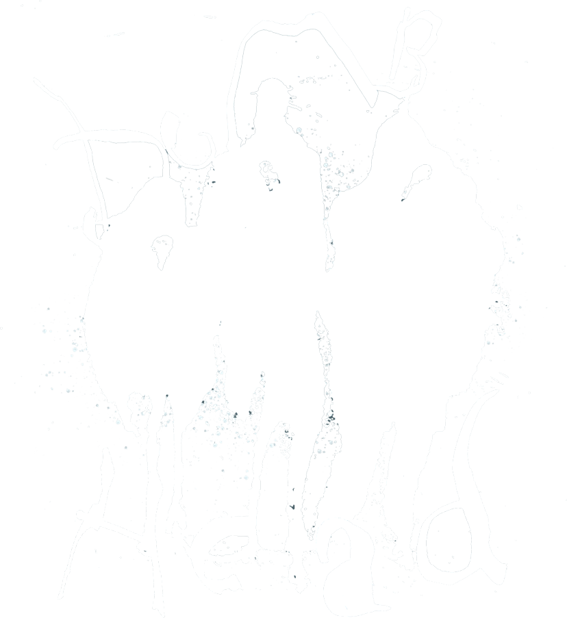 DUMHEAD-LOGO-WHITE