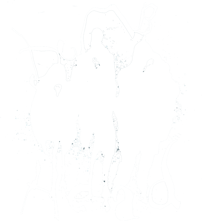 DUMHEAD-LOGO-WHITE2